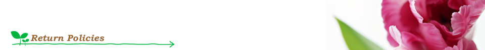 Return Policies